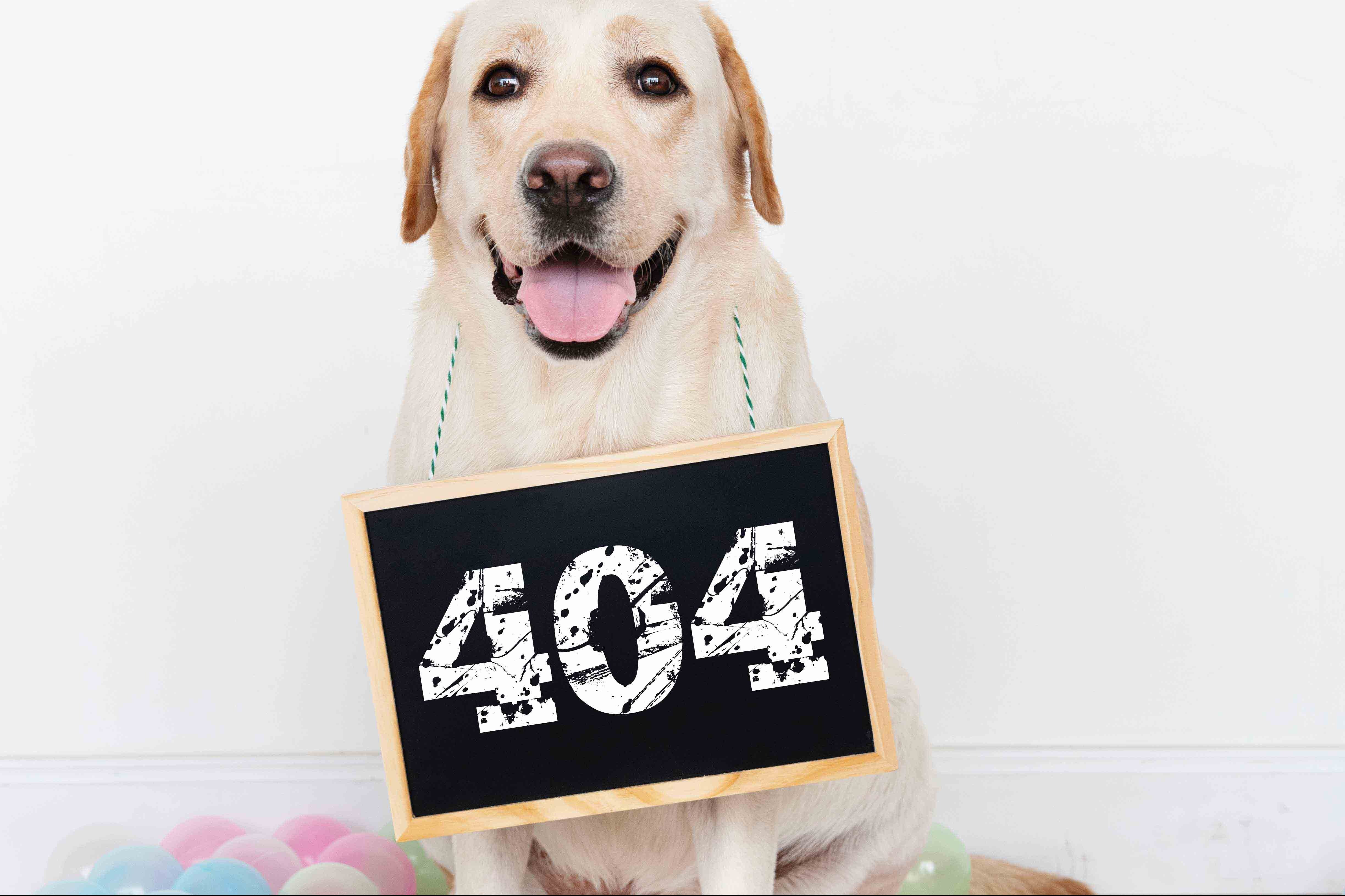 Oregon Humane Society | 404 Page
